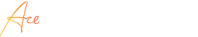 ACE ØKONOMIPARTNER AS